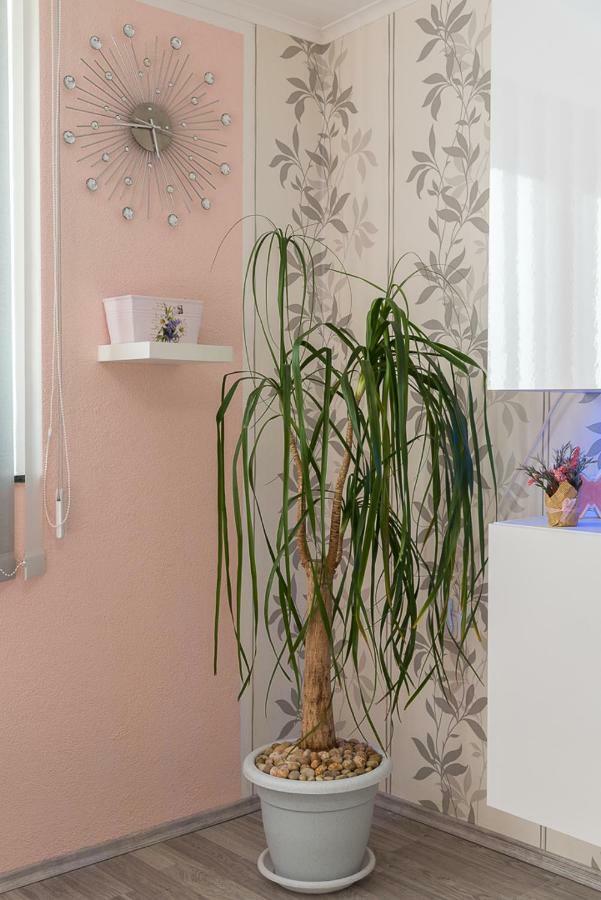 Apartment Danijela II Šibenik Esterno foto